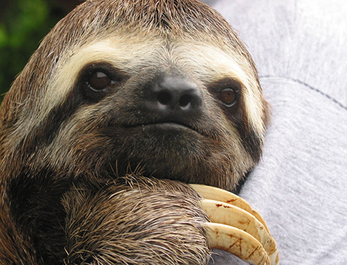 Please click "Display Images" to see this photo.