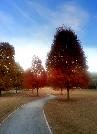 Three Easy Ways to Save Money