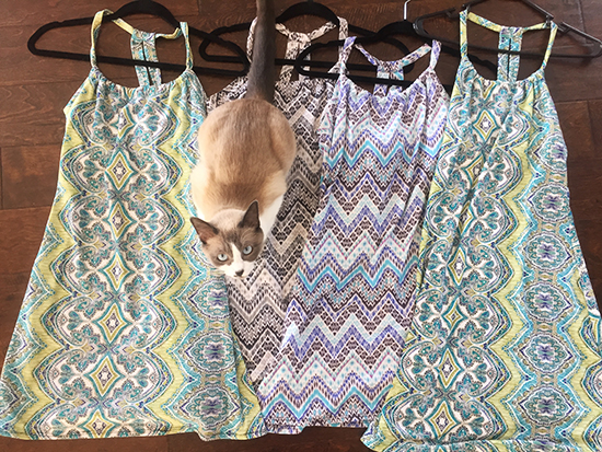 Click 'Display Images' in Your Email Program to See This. Decision Fatigue - Why I Wear the Same Clothes Everyday